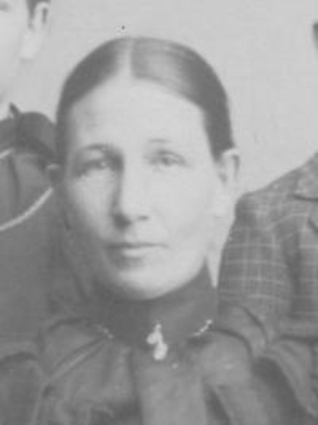 Mary Lovina Phelps (1845 - 1928) Profile